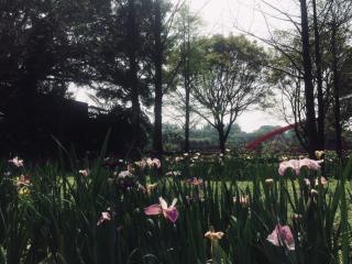 Rainbow Bridge B&B - Sanzhi - 0