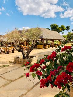 Le Chat'o Park Hotel Ivato Airport NAVETTE GRATUITE H24 - Antananarivo - 0
