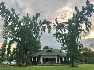 Nahorjan Tea Homestay - 6