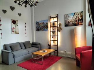 Coeur d'Elsass "RAPP"appartement avec parking - Colmar - 3