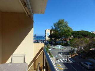 Joli Appartement au Lavandou Centre - 2 Chambres, Terrasse Sud et Garage - FR-1-308-109 - Le Lavandou - 9