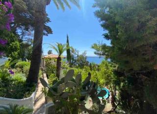 Somptuous exotic villa in Cannes - Cannes - 8