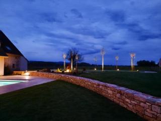 Domaine du moulin de Jeanne - Courlaoux - 5