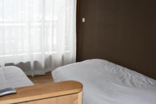 Accueil Savoyard - Mieussy - 6