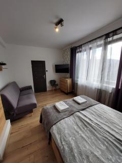 Loft Wisla Houses - Wisła - 4