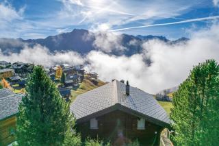 Chalet Nachtigall - 5