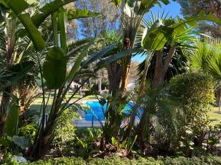 PUERTO BANUS FORTUNA Suite - 5