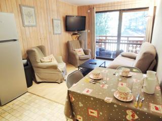 Appartement au pied des pistes, balcon, animaux acceptés - FR-1-516-20 - 5
