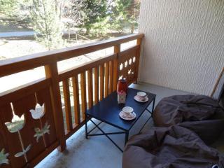 Appartement au pied des pistes, balcon, animaux acceptés - FR-1-516-20 - 4