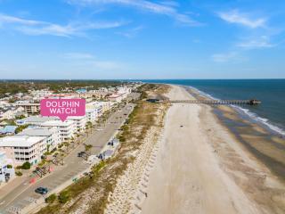 Dolphin Watch 4 - Tybee Island - 8
