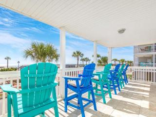Dolphin Watch 4 - Tybee Island - 1