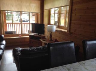 Norwegian Log Cabin The Roe Deer -sauna & hot tub - 3