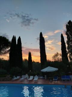 Fattoria Il Milione Agriturismo - Firenze - 5