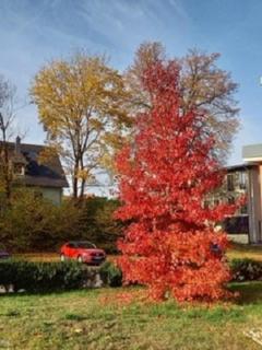 Ferienwohnung Am Rimbach - 9