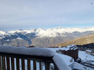 Studio confortable au pied des pistes, balcon, animaux admis - FR-1-181-2562 - Aime-la-Plagne - 2