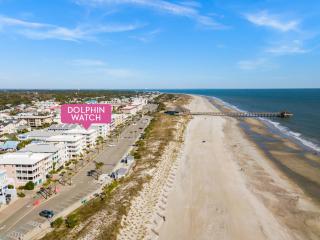 Dolphin Watch 6 - Tybee Island - 0