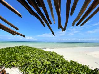 Aya Beach Resort - Kizimkazi - 7