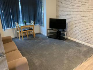 1. Delightful Apartment - Birmingham - 5