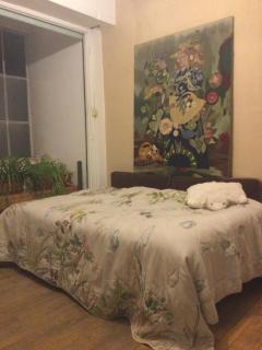 Evelyns private nostalgic rooms - Strasburgo - 8