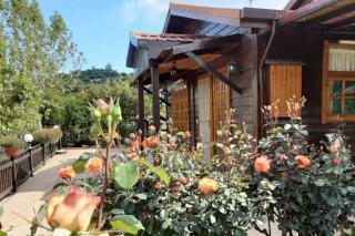 Kapilio Cottage House - - 0