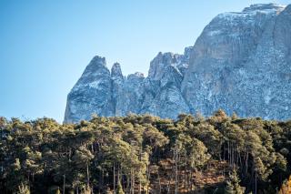 Studio Santnerblick Gfliererhof - 9