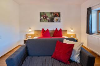 Studio Santnerblick Gfliererhof - 5