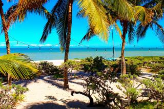 Paros a gulf of Mexico paradise - 2