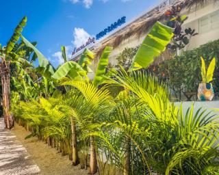 El Encuentro Surf Lodge - Cabarete - 9