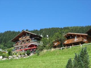 Hôtel Les Triolets - Châtel - 4