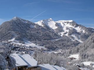 Hôtel Les Triolets - Châtel - 6
