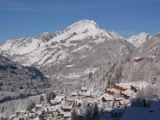 Hôtel Les Triolets - Châtel - 8