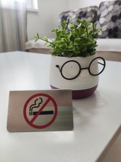 Sarah - City Apartment - 1