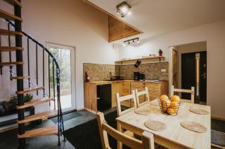 Domki Rower-Narty-Leżak - całoroczne, niezależne, taras, grill, zadaszone jacuzzi, ognisko, duży teren, blisko las, trasy rowerowe single-track, piesze wędrówki, narty - Świeradów-Zdrój - 1