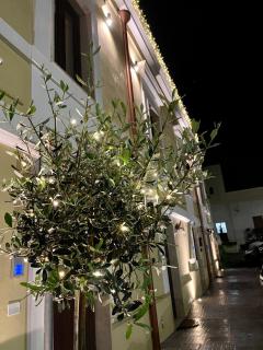 Relais Medea - San Giorgio Ionico - 7