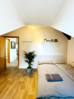 P6 - Familienwohnung am Park und Saale - 2