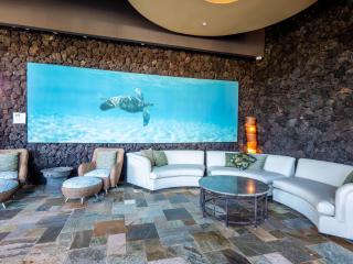 Top Floor Oceanfront location with great swimming and snorkeling MKM809 - Wailea - 3