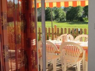 Gîte Alsace proche forêts, randonnée, stations de ski, 2 salons, terrasse sud, cheminée, animaux acceptés - FR-1-589-200 - Saulcy-sur-Meurthe - 9
