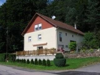 Gîte Alsace proche forêts, randonnée, stations de ski, 2 salons, terrasse sud, cheminée, animaux acceptés - FR-1-589-200 - Saulcy-sur-Meurthe - 8