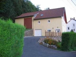 Gîte Alsace proche forêts, randonnée, stations de ski, 2 salons, terrasse sud, cheminée, animaux acceptés - FR-1-589-200 - Saulcy-sur-Meurthe - 6