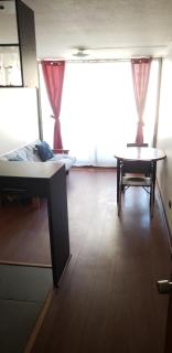 Cómodo dpto centro de Santiago hasta 3 personas - Santiago - 3