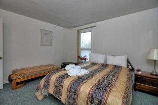 Rustic 3 bedroom home Moose Lodge - Killington - 2