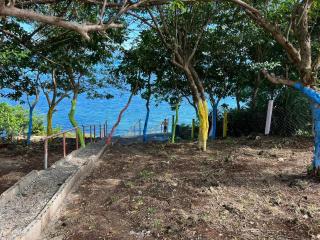 Scott Camotes Beach House - 9