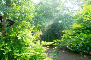 Forest Villa Nature Resort - 0