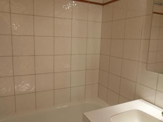 Studio divisible 4 pers, centre station, balcon sud, proche pistes, animaux admis - FR-1-181-2699 - La Plagne Tarentaise - 2