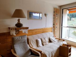 Charmant 2P 35m² Sud, Pied des Pistes, Balcon, Parking, 4 Pers, Ascenseur, Animations, Villard-de-Lans - FR-1-689-114 - Villard-de-Lans - 0