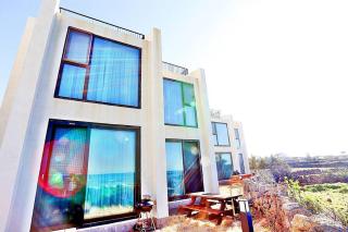 Coveted Palms Village Pension - Jeju - 9