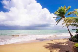 Villas Del Mar Beach Resort - Loiza - 3