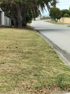 15 on 11th Summerstrand - 0