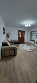 Casa La Rotarelu - Sălişte - 4