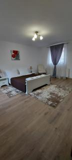 Casa La Rotarelu - Sălişte - 0